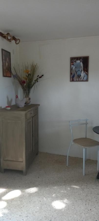 Petite Maison Dans La Campagne A 10 Mn A Pied Du Centre Ville Арль Екстер'єр фото