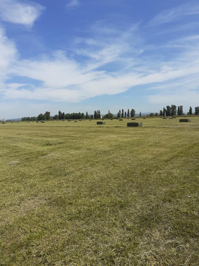Petite Maison Dans La Campagne A 10 Mn A Pied Du Centre Ville Арль Екстер'єр фото